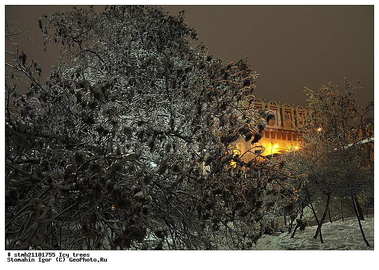 ������������ �������