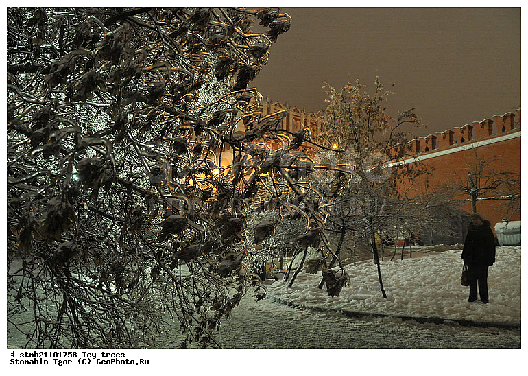 ������������ �������