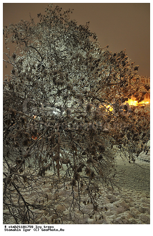 ������������ �������