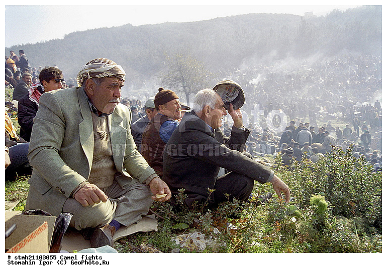 ��������� ���, �������