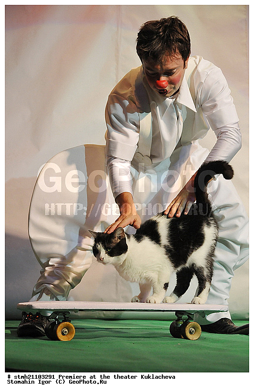 �������� � ������, ��������, ����� ���������, �����, �������� ����