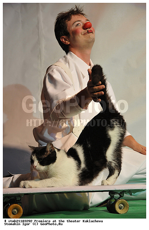 �������� � ������, ��������, ����� ���������, �����, �������� ����