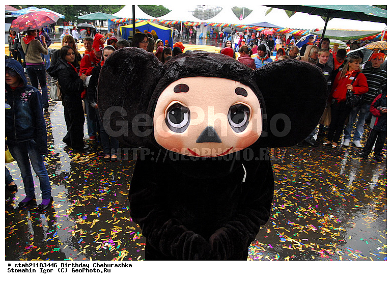  ���� ��������, ���������, ����, �������� 