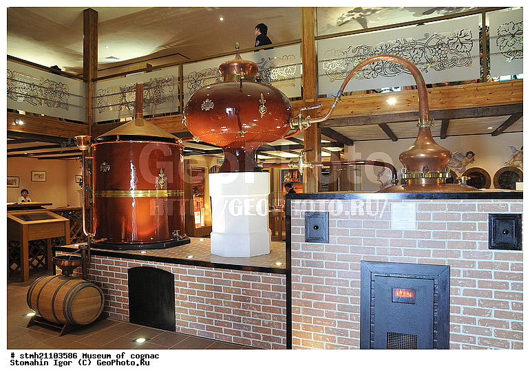 ����� �������