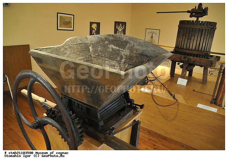 ����� �������