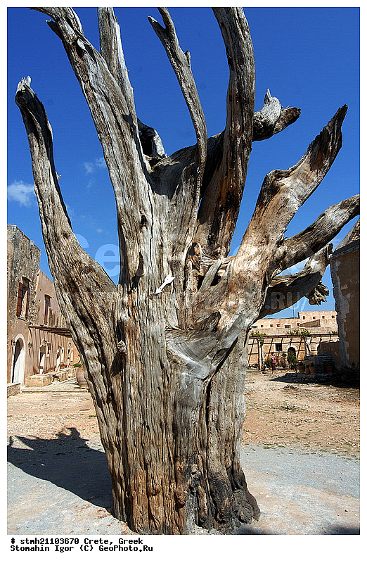 ������, ����