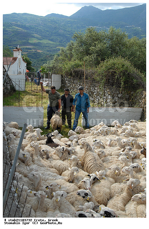 ������, ����