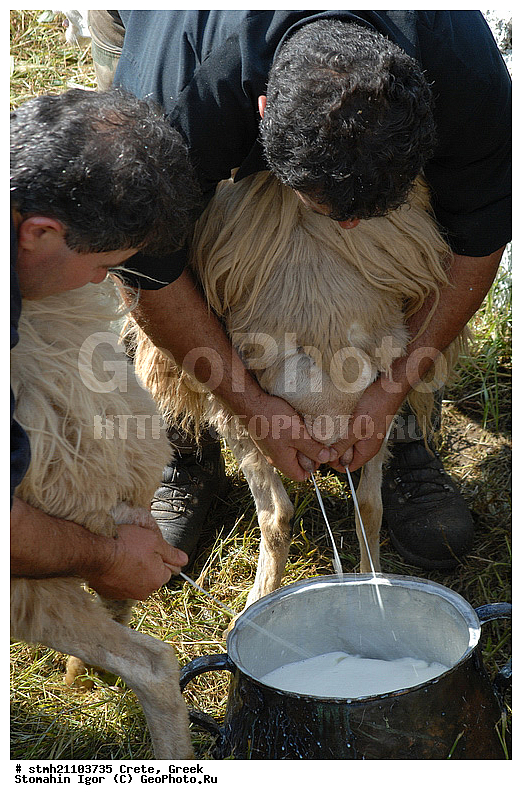 ������, ����