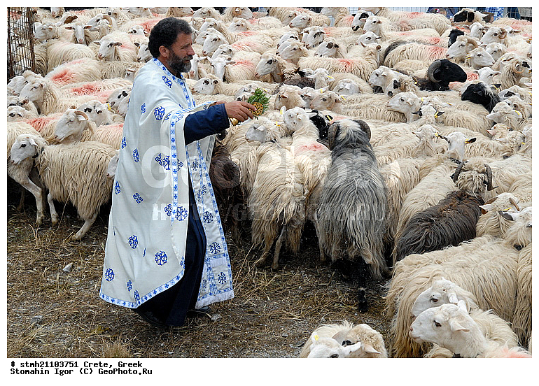 ������, ����