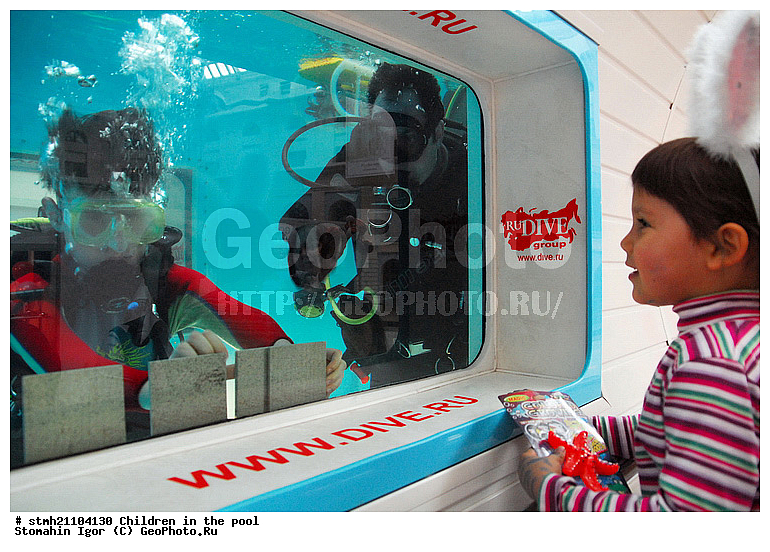 ���� � ��������, �������, �������