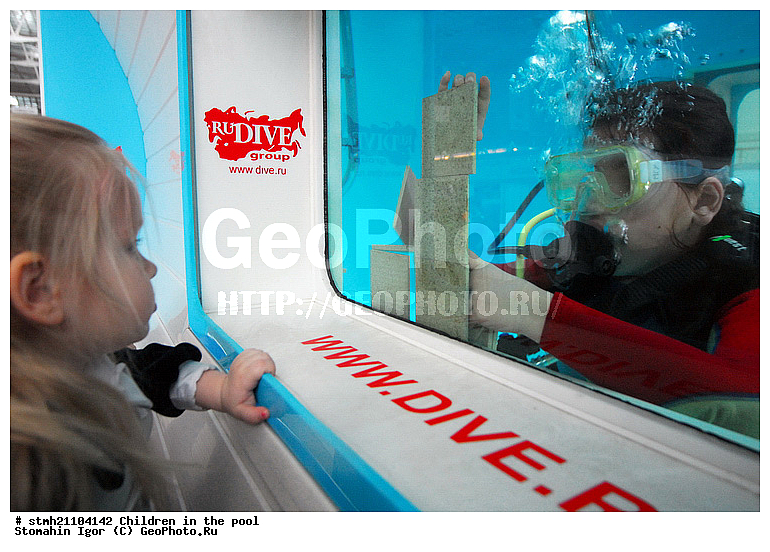 ���� � ��������, �������, �������