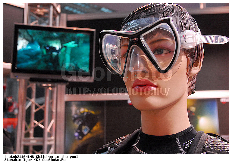 ���� � ��������, �������, �������