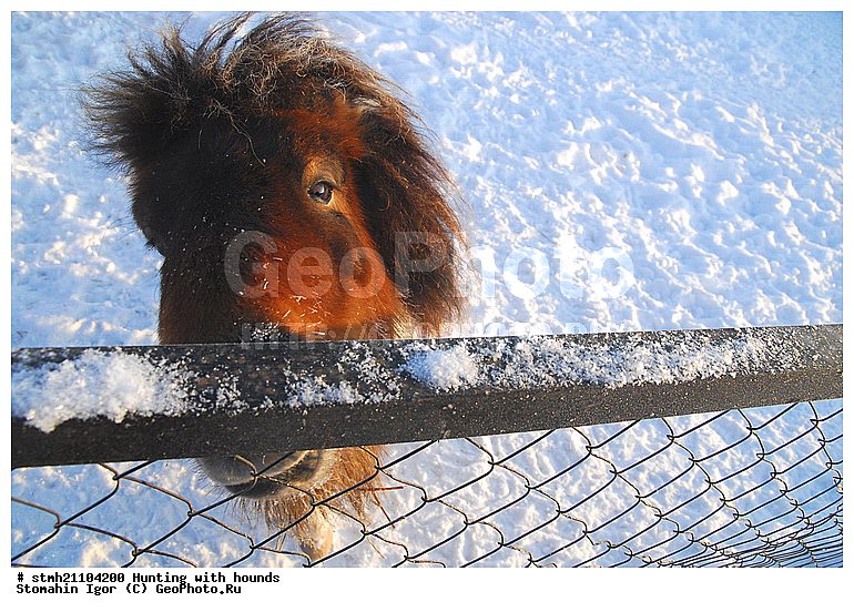 ������ �����, �������