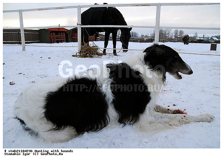 ������ �����, �������