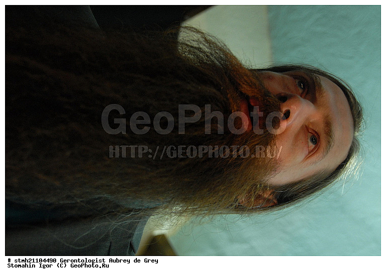 ����������, ���� �� ����, ��������, ������� ��������