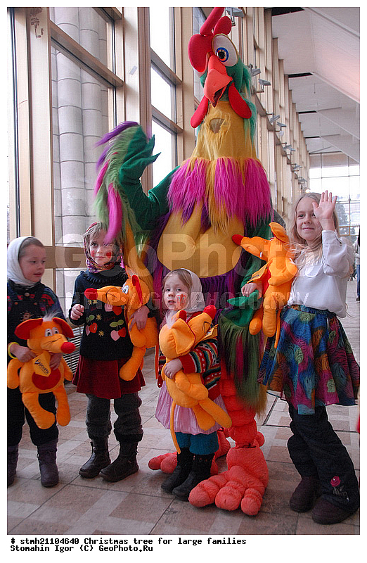 ����, ����� ���, ����������� �����, ����