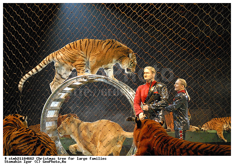 ����, ����� ���, ����������� �����, ����