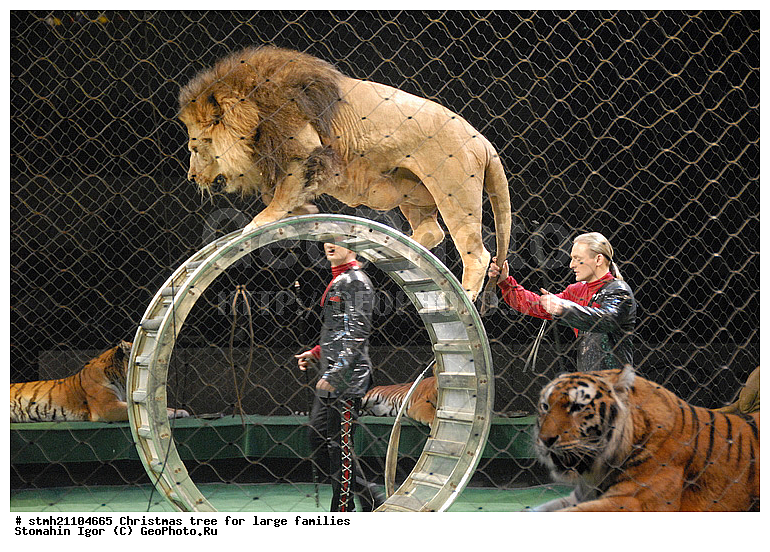 ����, ����� ���, ����������� �����, ����