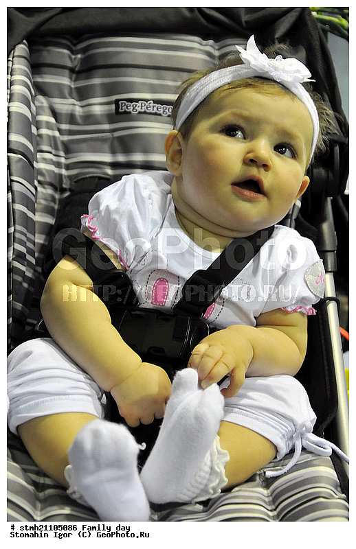 ���� �����, ��������, ����