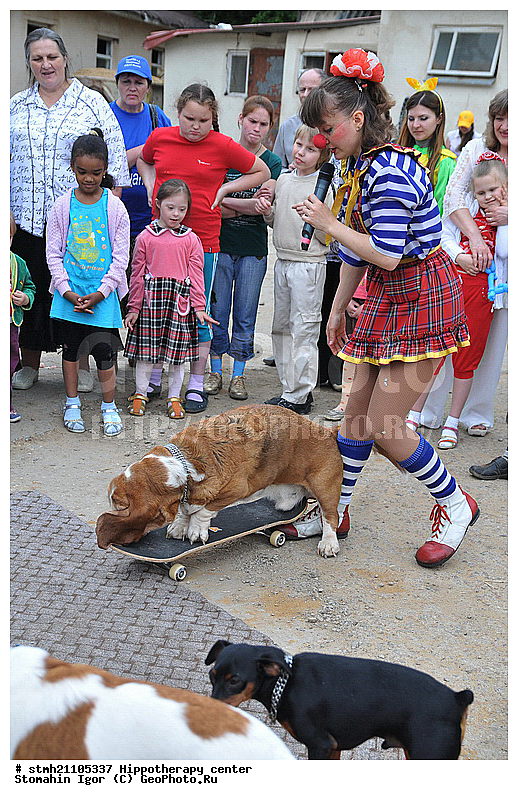 ����� �����������, �����������