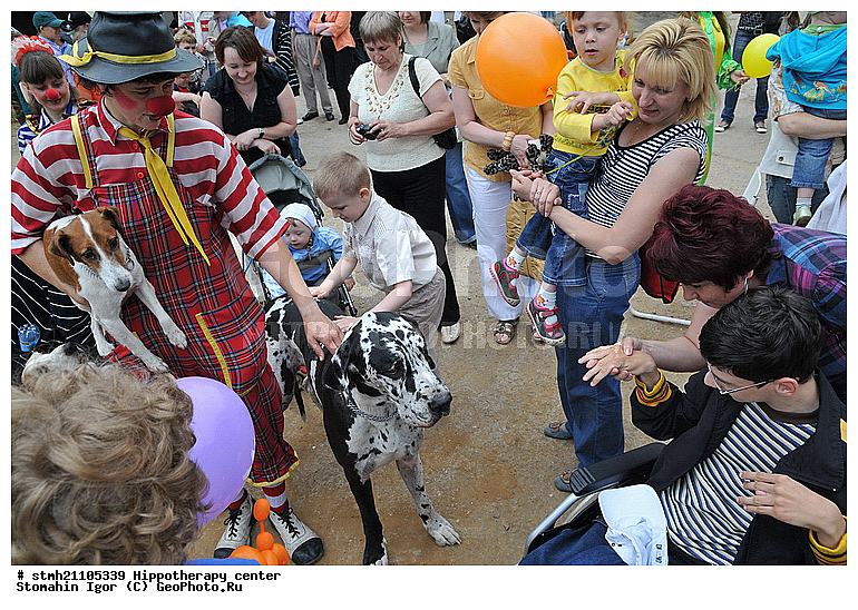 ����� �����������, �����������