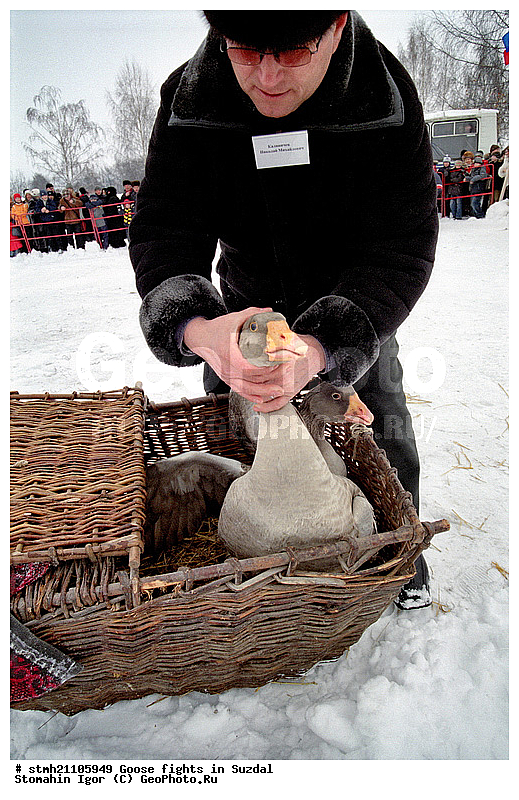 ����, ������� ���, �������