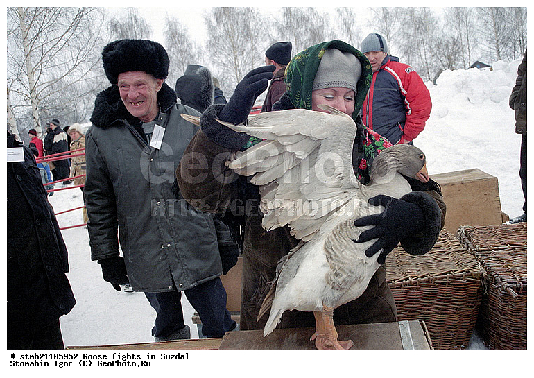 ����, ������� ���, �������