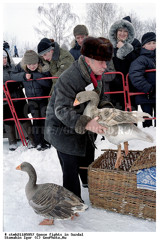 ����, ������� ���, �������