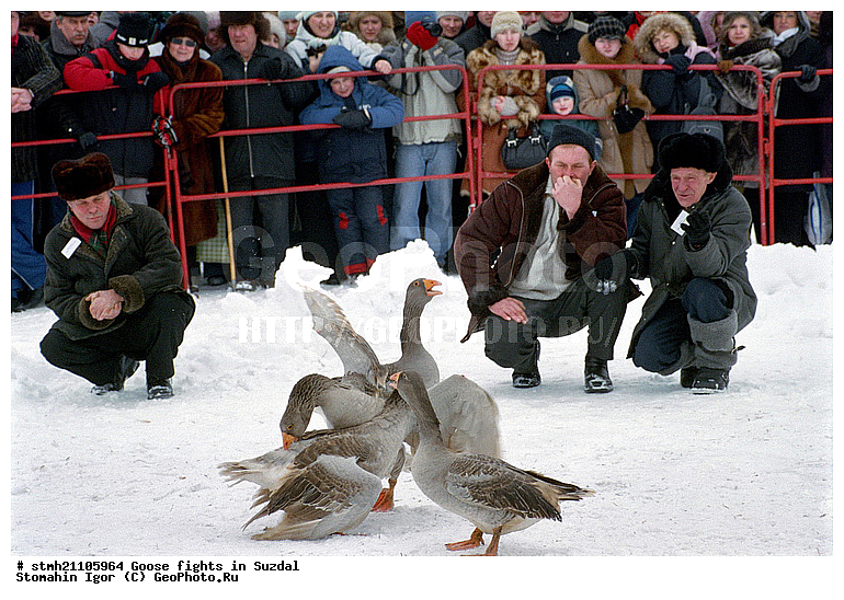 ����, ������� ���, �������