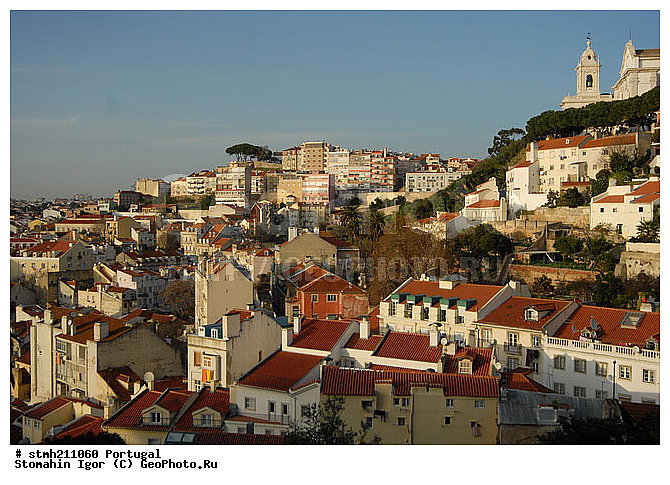 ����������,  ��������, ������:, ���, �����