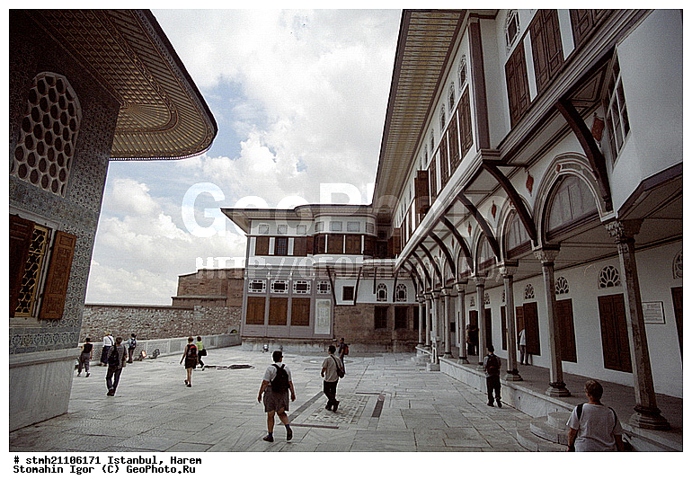 �������, �����