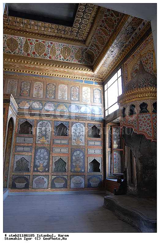 �������, �����