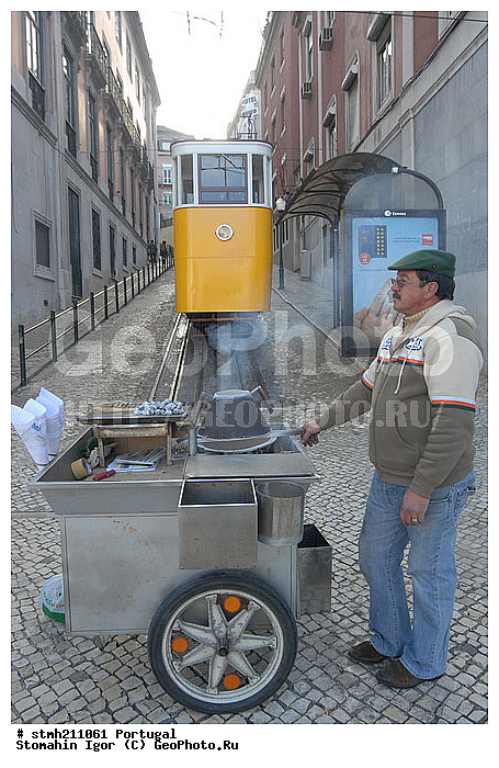 ����������,  ��������, ������:, ��������, �������, ��������