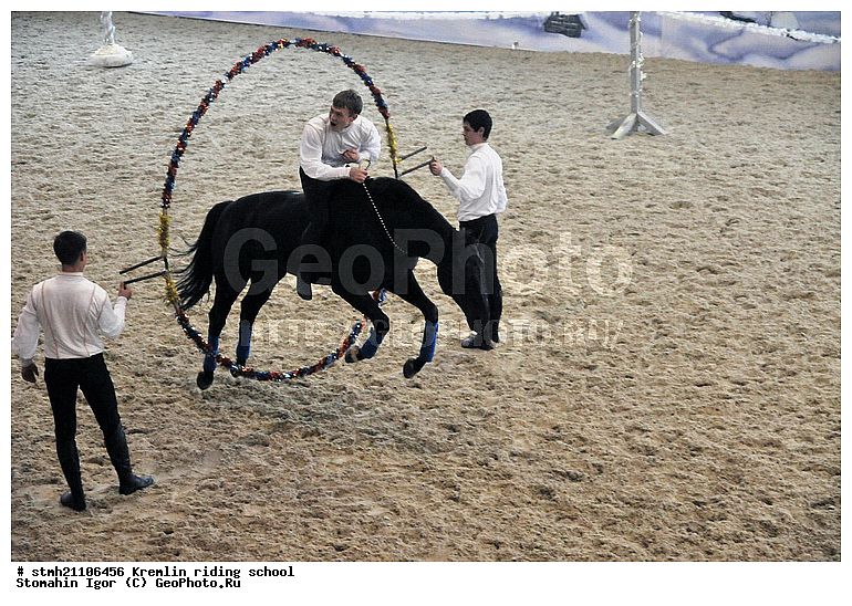 ����������� �����, �������� ����, ������