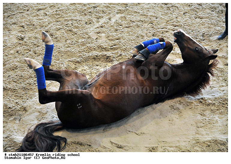 ����������� �����, �������� ����, ������