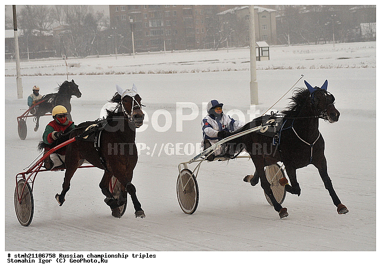 ���������, ������� ������, ������, ��������