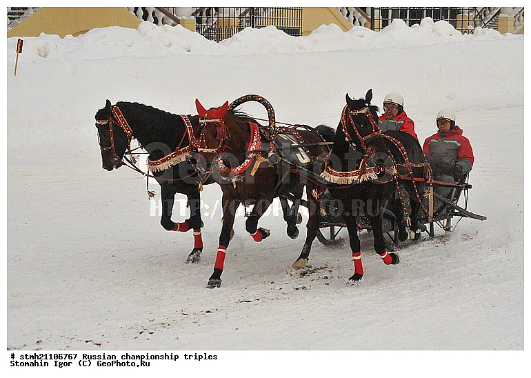 ���������, ������� ������, ������, ��������