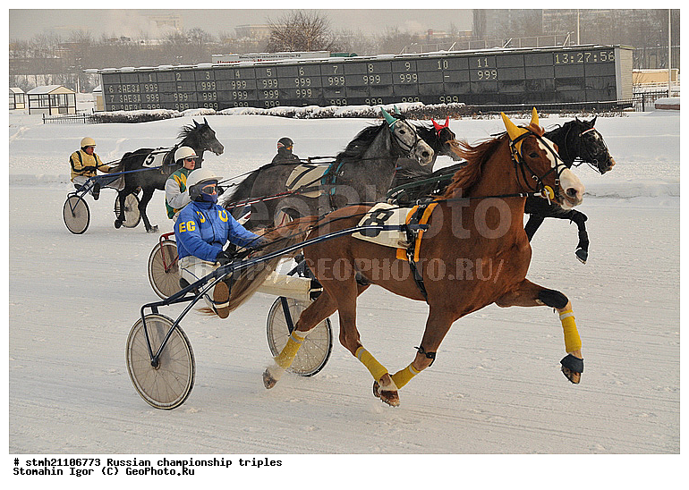 ���������, ������� ������, ������, ��������