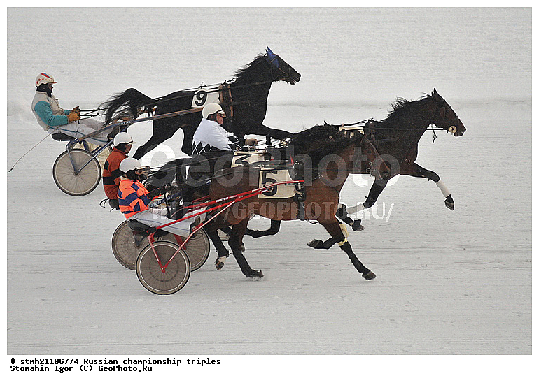 ���������, ������� ������, ������, ��������