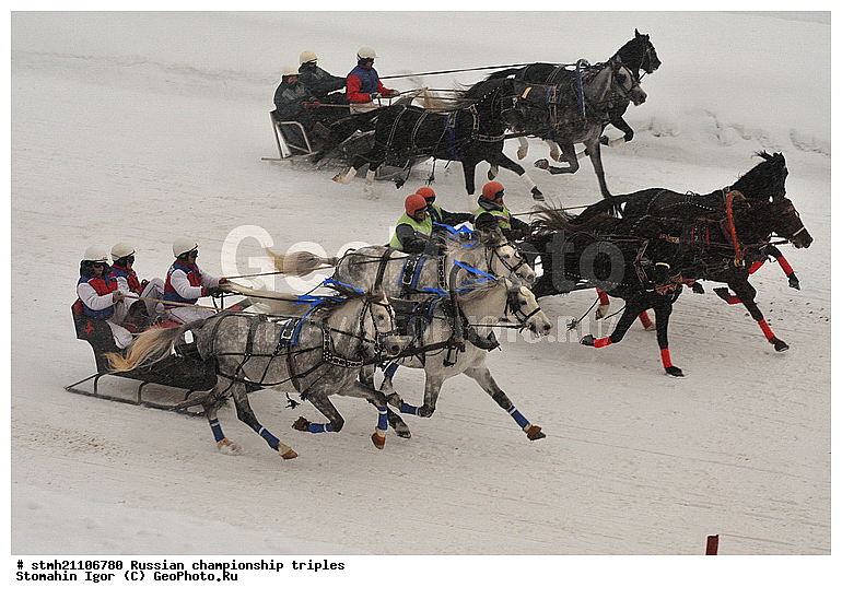 ���������, ������� ������, ������, ��������