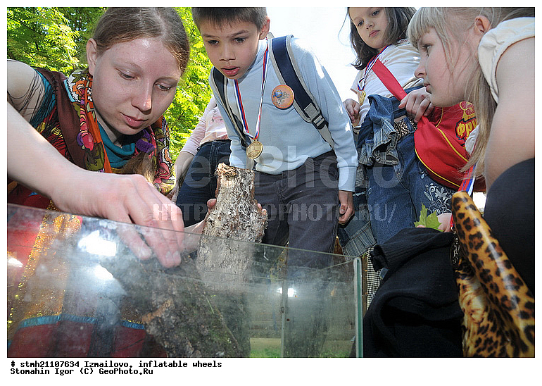 ���������, ����� ������