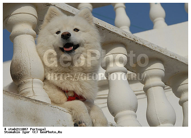 ����������,  ������, �������,  �, ���������, ������:, ������, �����������, �������