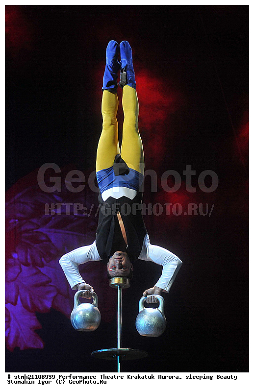 ���������, �����, �������� ������, ������ ��������� 