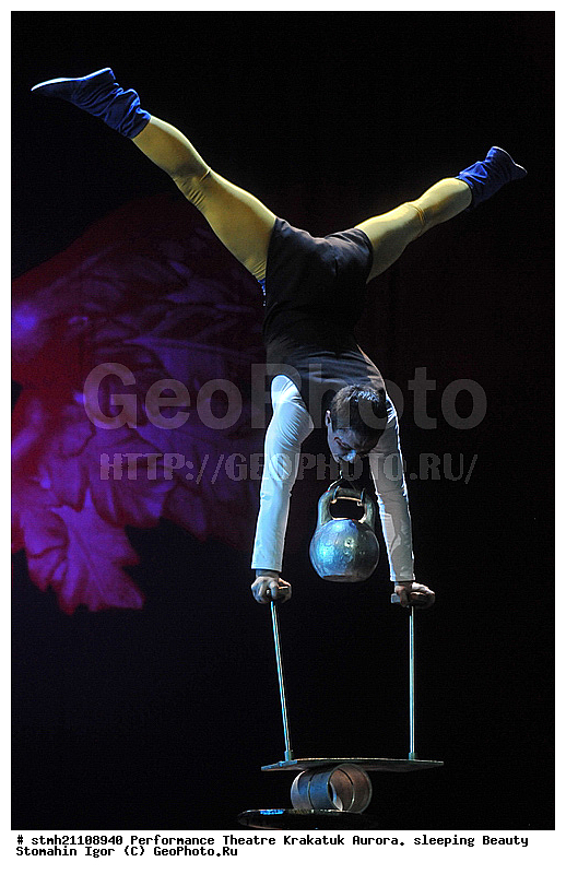 ���������, �����, �������� ������, ������ ��������� 