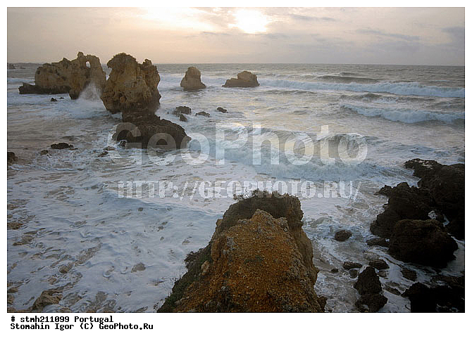 ����������,  ������, �������,  �, ���������, ������:, �����, ����