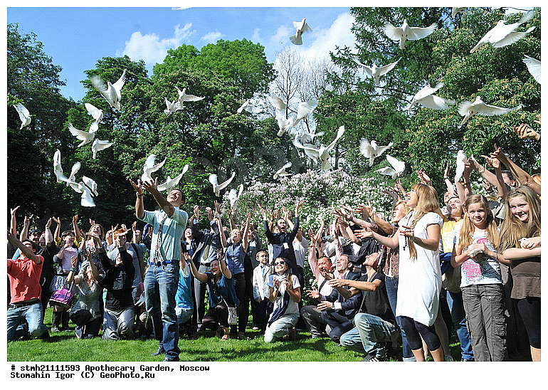 �������, �������, ������, ����������� ������