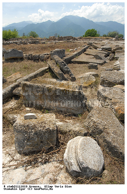 Olimp Veria Dion, ������