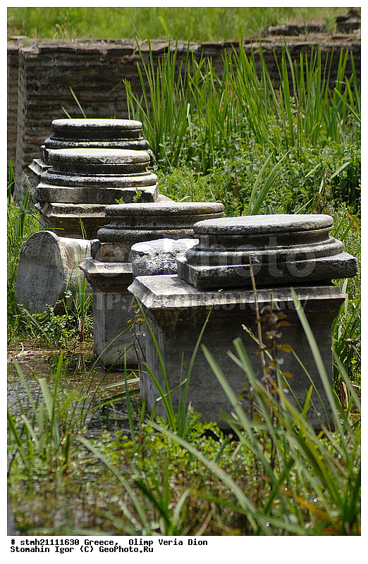 Olimp Veria Dion, ������