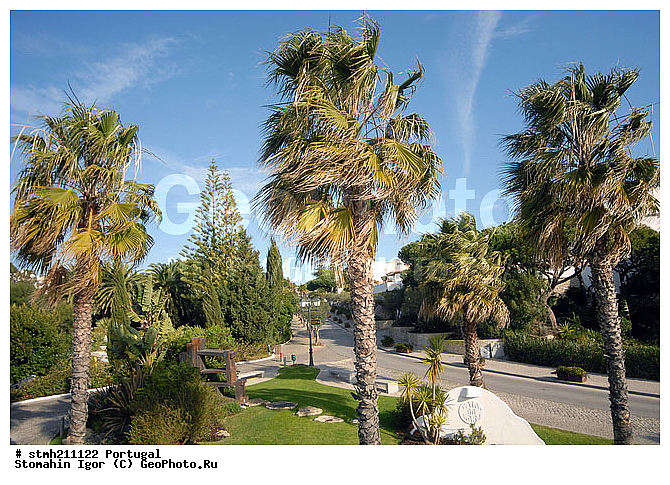 ����������,  ������, �������, ������:, ������, �������, ��������