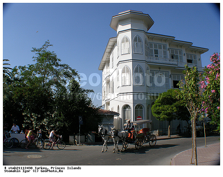 ������, ����